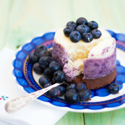 Little Blueberry Lemon Cheesecake