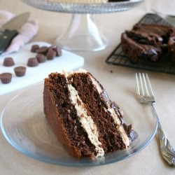 Chocolate Peanut Butter Cake