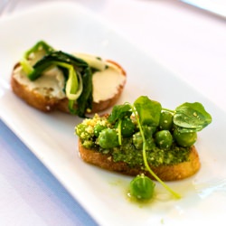Vegan Fine Dining Pop-Up in NYC