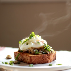 Creamy Mushrooms and Eggs