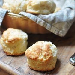 Southern Biscuits