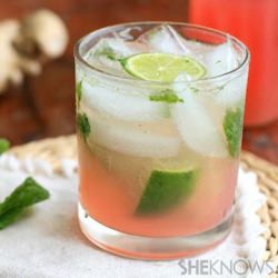 Rhubarb and Ginger Mojito