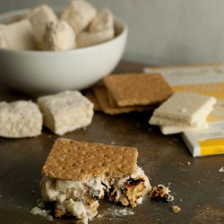 Pina Colada S’mores
