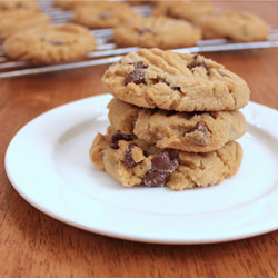 Peanut Butter Chocolate Chippers