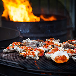 Fire Roasted Oysters