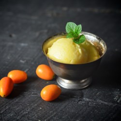 Kumquat Ginger Sorbet