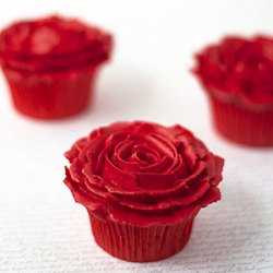 Double Chocolate Cupcakes