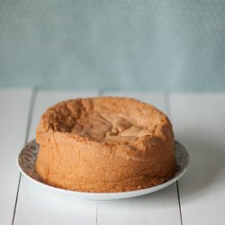 Genoese Sponge Cake