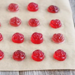 Vegetarian Fruit Snacks