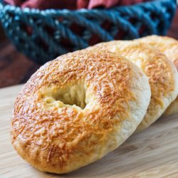 Asiago Bagels