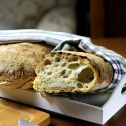 Ciabatta