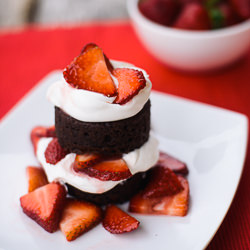 Chocolate Strawberry Shortcake