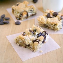 Coconut Chocolate Chip Bars