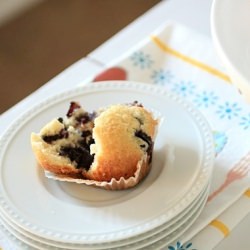 Classic Blueberry Muffins