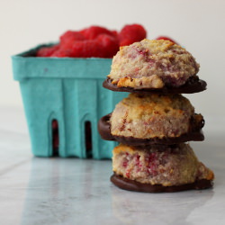 Raspberry Coconut Macaroons