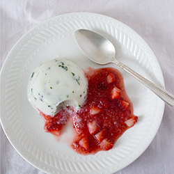 Frozen Yogurt
