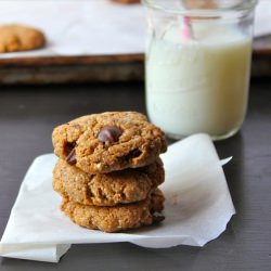 Almond Butter Cookies
