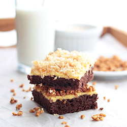 Sawdust Cake with Coconut