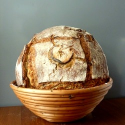 Apple Sourdough Bread