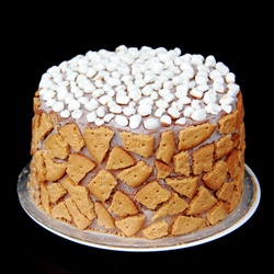 S’mores Cheesecake Cake