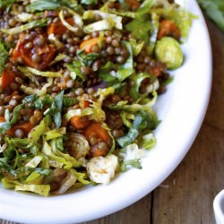 French Lentil & Vegetable Salad