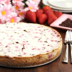 Neapolitan Greek Yogurt Cheesecake