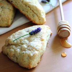 Lavender Lemon Scones