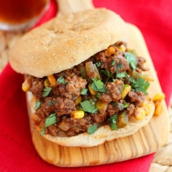 Spicy Tex-Mex Sloppy Joes