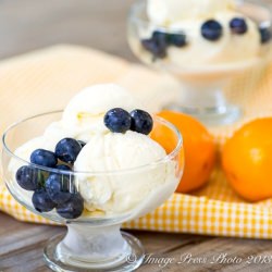 Meyer Lemon Frozen Yogurt