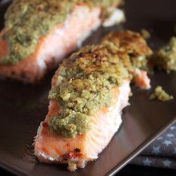 Salmon