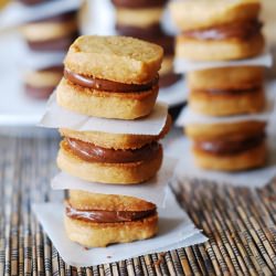 Chocolate Peanut Butter Cookies
