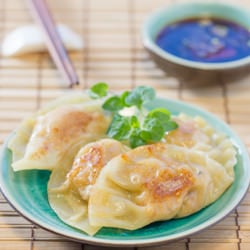 Chicken and Ginger Gyoza