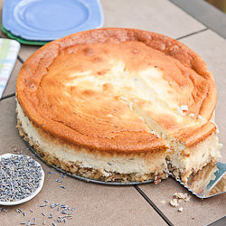 Lavender Cheesecake