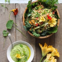 Dahl Inspired Sprouted Salad
