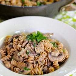 Rotini with Creamy Mushroom Sauce