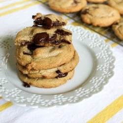 Chocolate Chip Cookie
