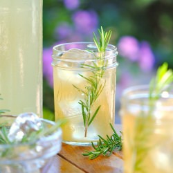 Probiotic Fermented Lemonade