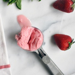 Mint and Berry Frozen Yogurt