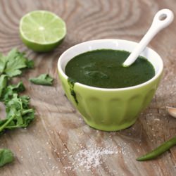 Cilantro Chutney