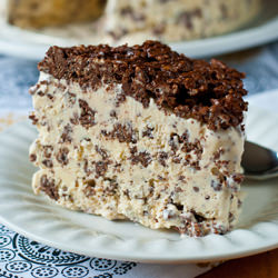 Nutella Crunch Ice Cream Cake