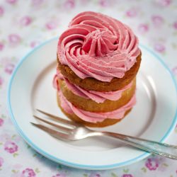 Very Vanilla Mini Cakes