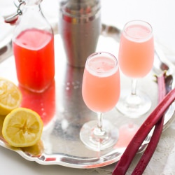 Rhubarb Bee’s Knees