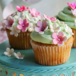 Spring Cupcakes