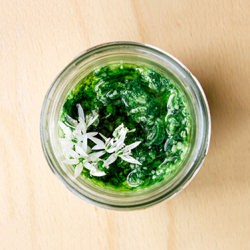 Wild Garlic Pesto