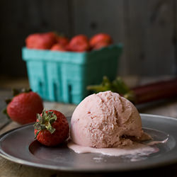 Strawberry Rhubarb Ice Cream Sorbet