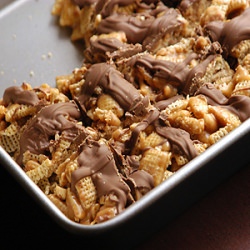 Morning Glory Bars