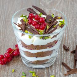 Chocolate Red Currants Trifle