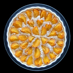 Apricot Tart