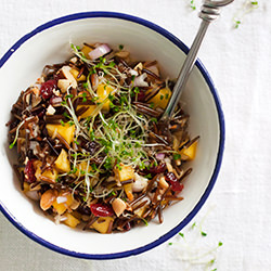 Wild Rice and Mango Salad