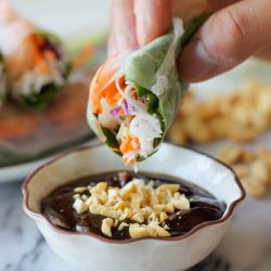 Shrimp Spring Rolls